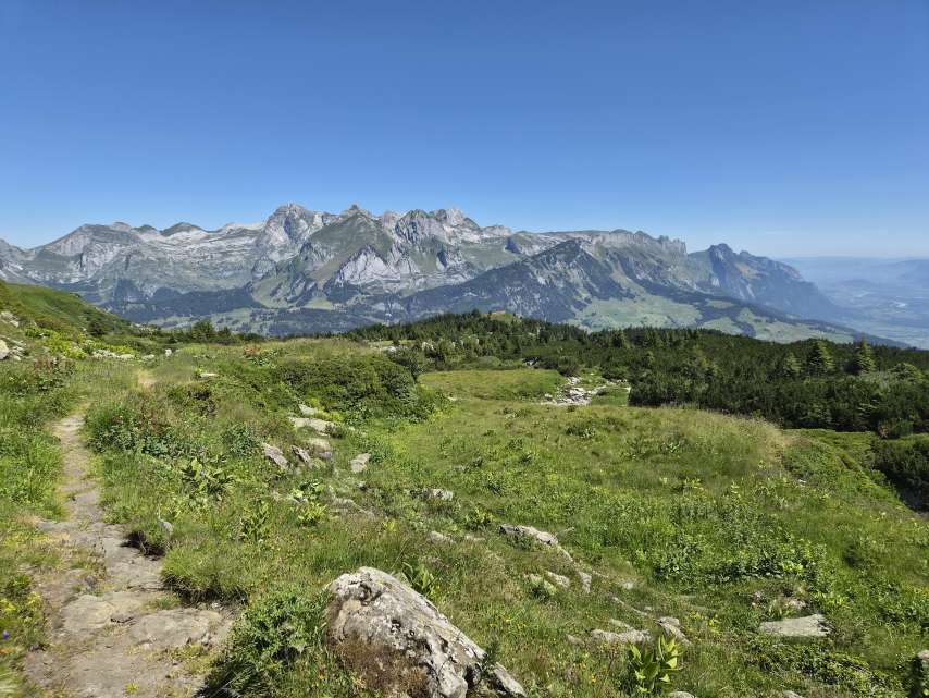 Bergsommer in vollem Gange!