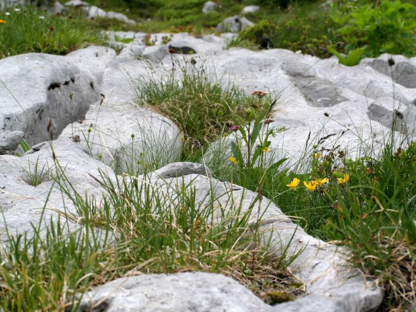 Karstwanderung & Buchvorstellung Karstwanderführer