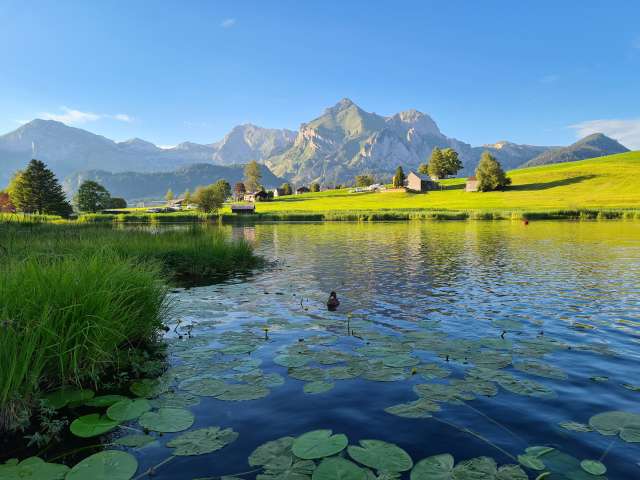 "Die kleine Klangrunde"