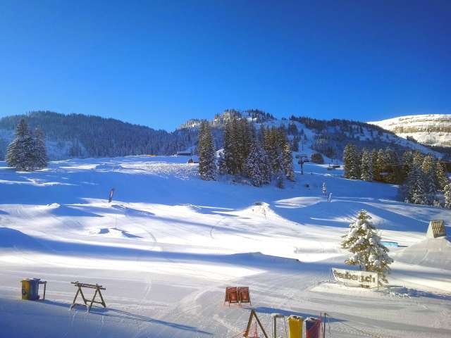 Freestyle in Wildhaus