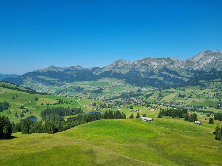 Best of Sommersaison 2025