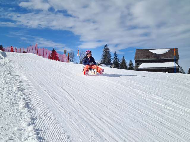 Schlittel Tageskarte