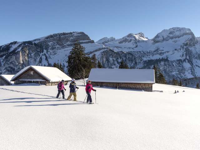 Älpli-Ölberg-Gamperfin-Älpli