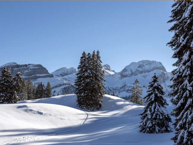 Einzelfahrten