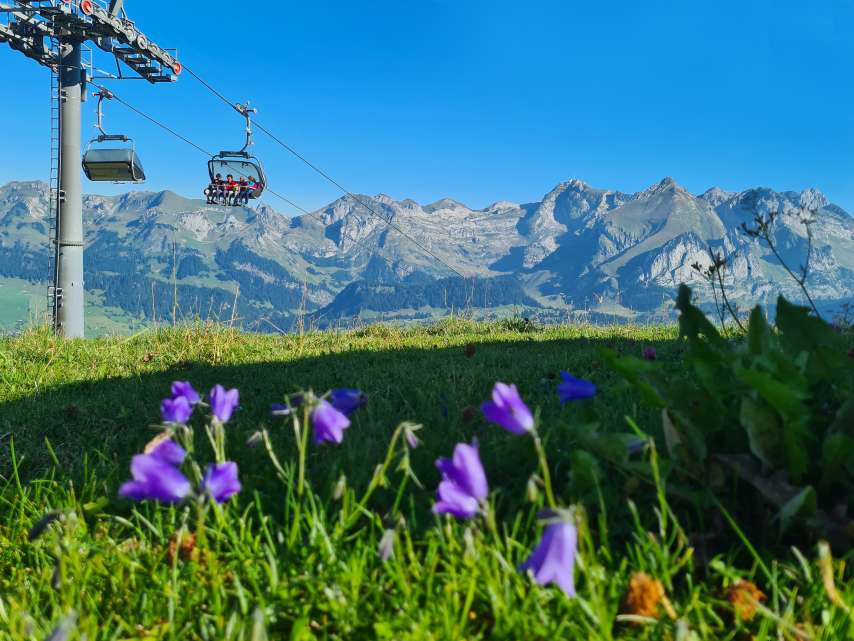 Rabattierte Bergbahnfahrten