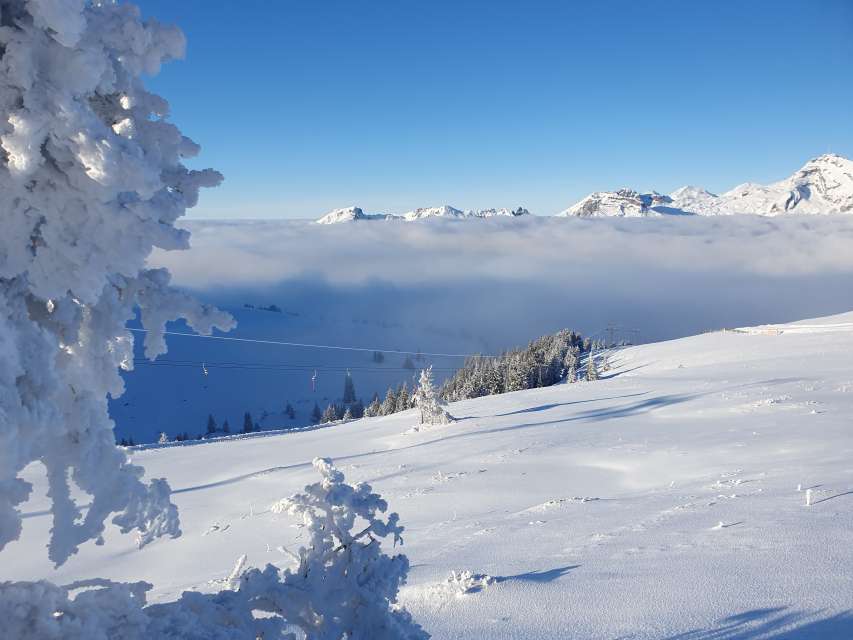 Best of Wintersaison 2024/25